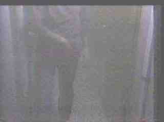 zippers.jpg (12223 bytes)